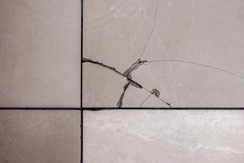 Specialty Tile Repair Experts